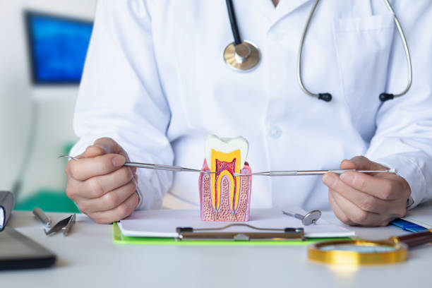 Best Emergency Orthodontic Repairs in New Tazewell, TN